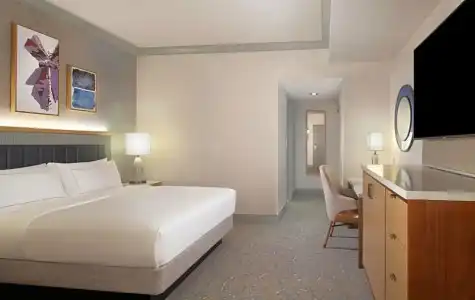 Hilton Anatole - 97