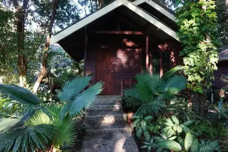 Khao Sok Riverside Cottage - 57