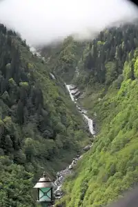Ayder Doga Resort - 113