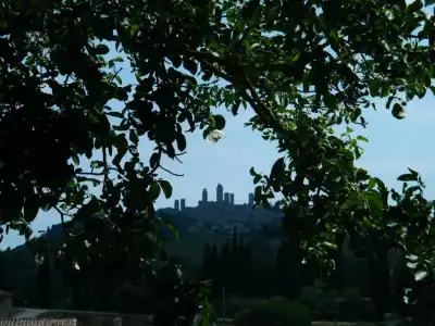 Agriturismo Montegonfoli - 103