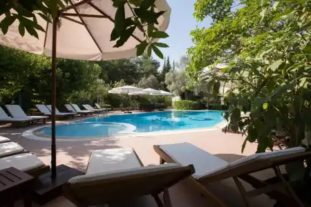 Mr. Dim Exclusive Apart - 99