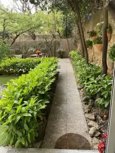 Paradise Inn - 28