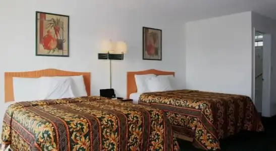 Amazon Motel - 14