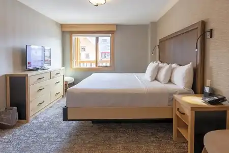 Moose And Suites - 152