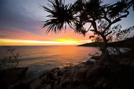 Ingenia Holidays Noosa North - 23