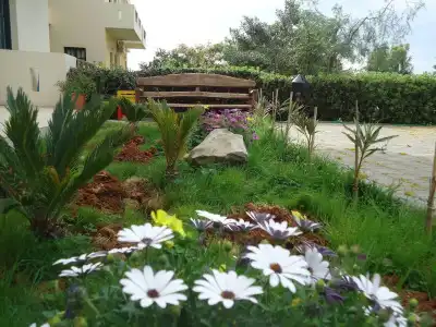 Portokali Apartments - 14