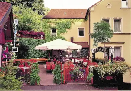 Goldener Hirsch - 16