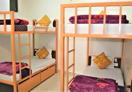 Bedweiser Backpackers Hostel - 23