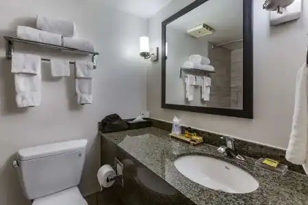 Best Western Plus Scottsdale Thunderbird Suites - 90