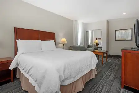 Best Western Plus Suites Downtown - 5