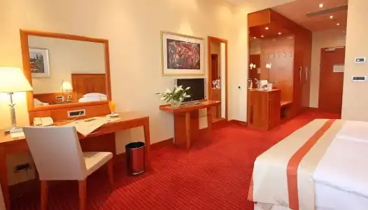 Antunovic Zagreb - 32