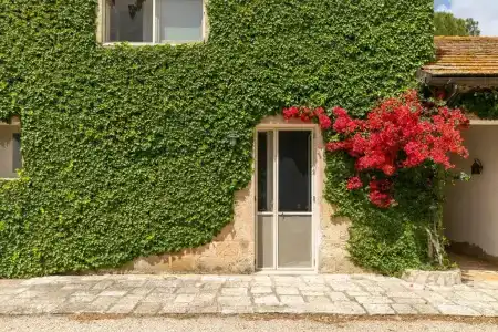 Masseria Baroni Nuovi - 70