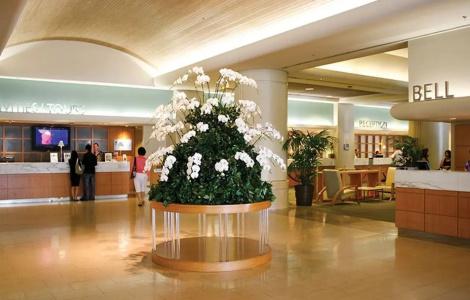 Ala Moana by AirPads - 49