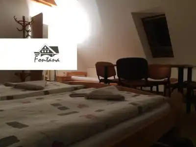 Pension Fontana - 29