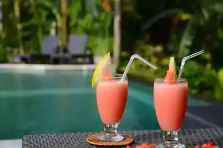 The White Villas Ubud - 9