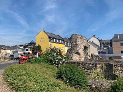 Sonnenhof - 14