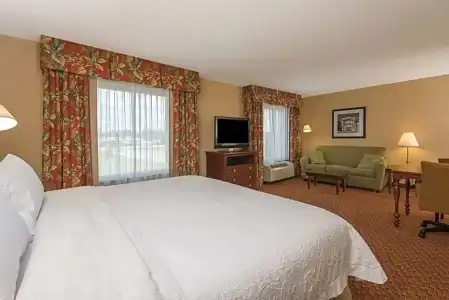 Hampton Inn & Suites Florence-North-I-95 - 41