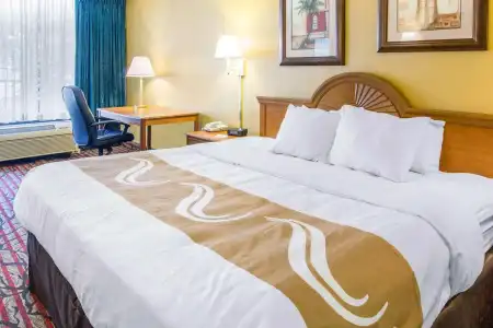 Rodeway Inn Clearwater - Central - 2