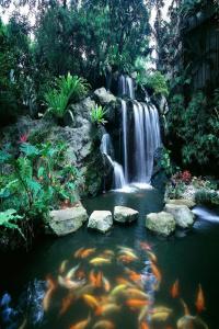Sheraton Towers Singapore - 25