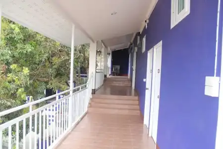 Shin Sane Guesthouse - 5
