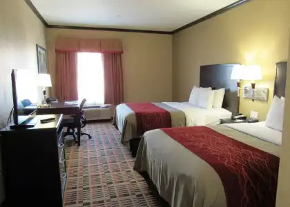 Quality Inn & Suites Lubbock South - 3