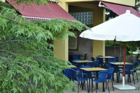 Palm Court Suites - 24