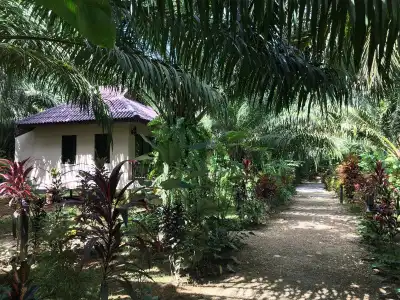 Khao Sok Palm Garden Resort - 9