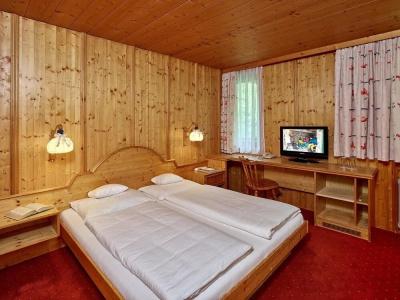 Monika & Montafon Chalets - 3