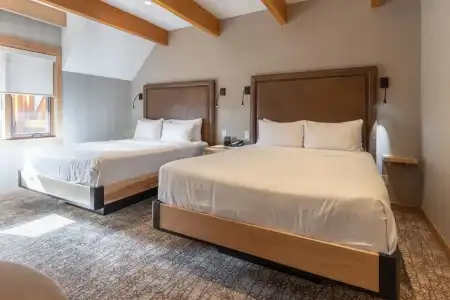 Moose And Suites - 124