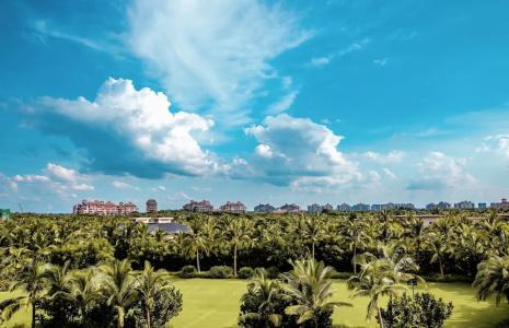 The Ritz-Carlton, - 66