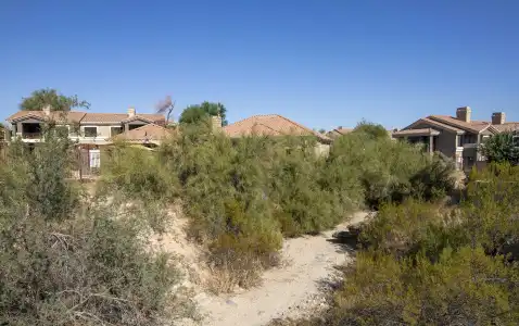 WorldMark Phoenix - South Mountain Preserve - 32