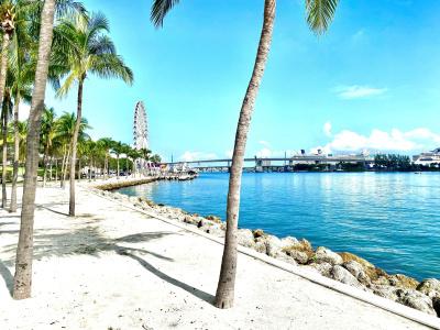 Atwell Suites Miami Brickell by IHG - 26