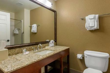 Comfort Suites Lady Lake - The Villages - 52