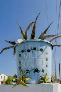 Eco Beach and Magic Garden - 140
