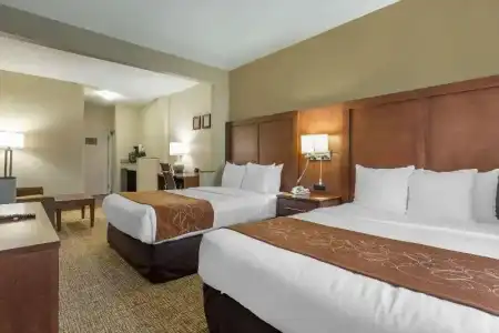 Comfort Suites Raleigh Walnut Creek - 40