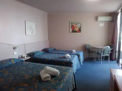 Palm Court Motor Inn - 4