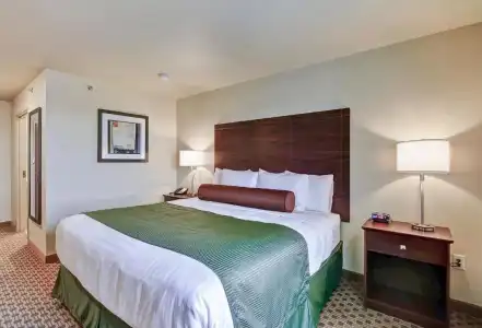 Cobblestone & Suites – Pulaski/Green Bay - 36