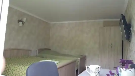 Guest House Green Rose - 56
