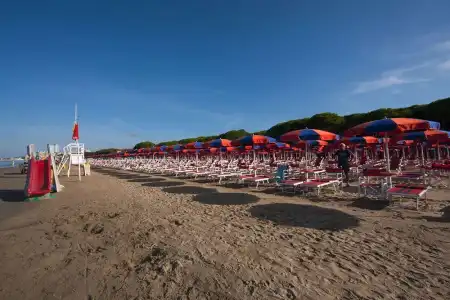 La Pineta - 24