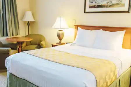 Lavissh Inn and Suites - 6