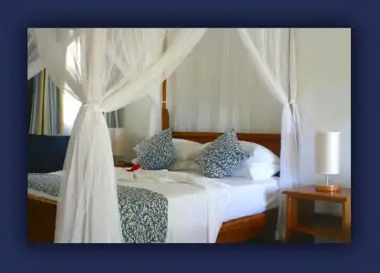 L'Hirondelle Self Catering Guest House - 16
