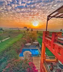 Nile Compound - 43