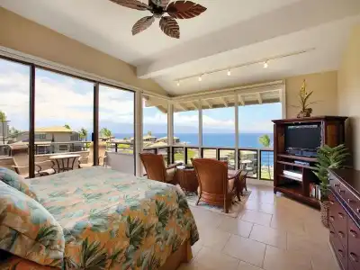 Kapalua Villas Maui - 92