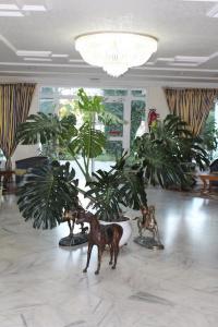 Complexe Touristique Sidi Salem - 19