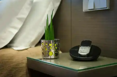 Hôtel Minerve Paris - 81