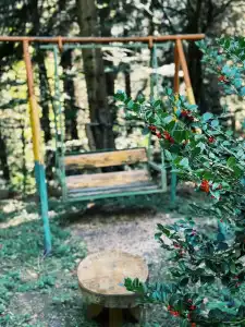 Nunisi Forest & SPA - 15
