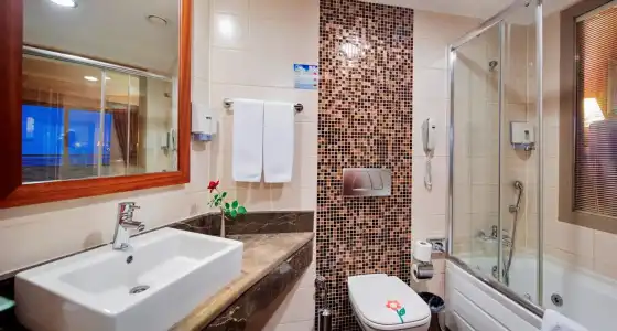 Alba Royal - Ultra All Inclusive -Adults Only (+16) - 9