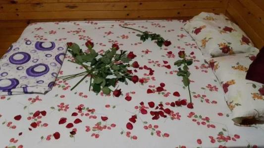 Camlik Pansiyon - Adults Only (16+) - 16