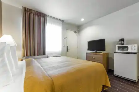 Quality Inn Oakland Airport - 3
