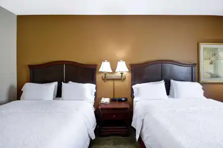 Hampton Inn Corpus Christi-Northwest I-37 - 3